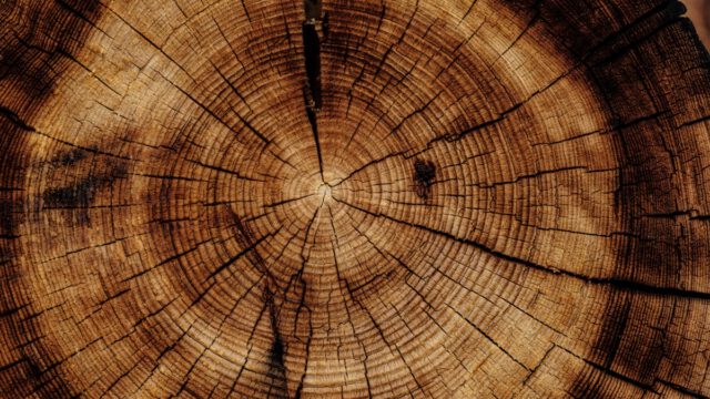 日中のハーブティーで体を温める敏感肌のはるかの午後