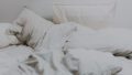 自律神経と肌のゆらぎに向き合う敏感肌のはるか